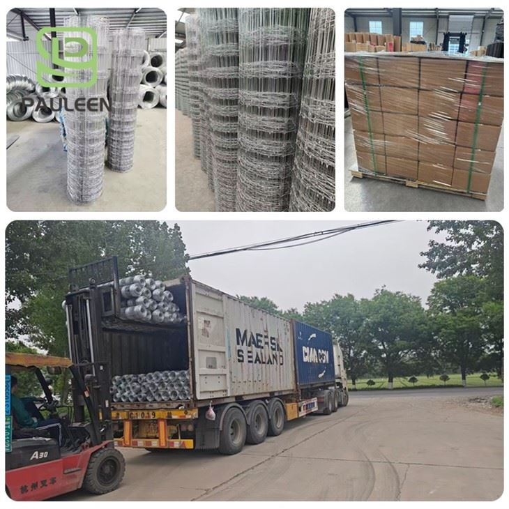 Deer Wire Mesh Fence best