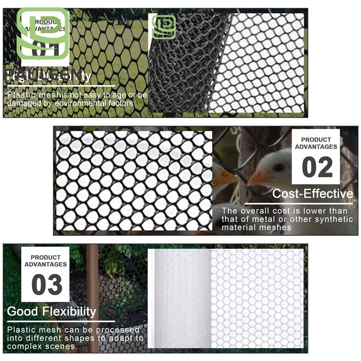 Plastic Coated Mesh factory Plastic Coated Mesh factory