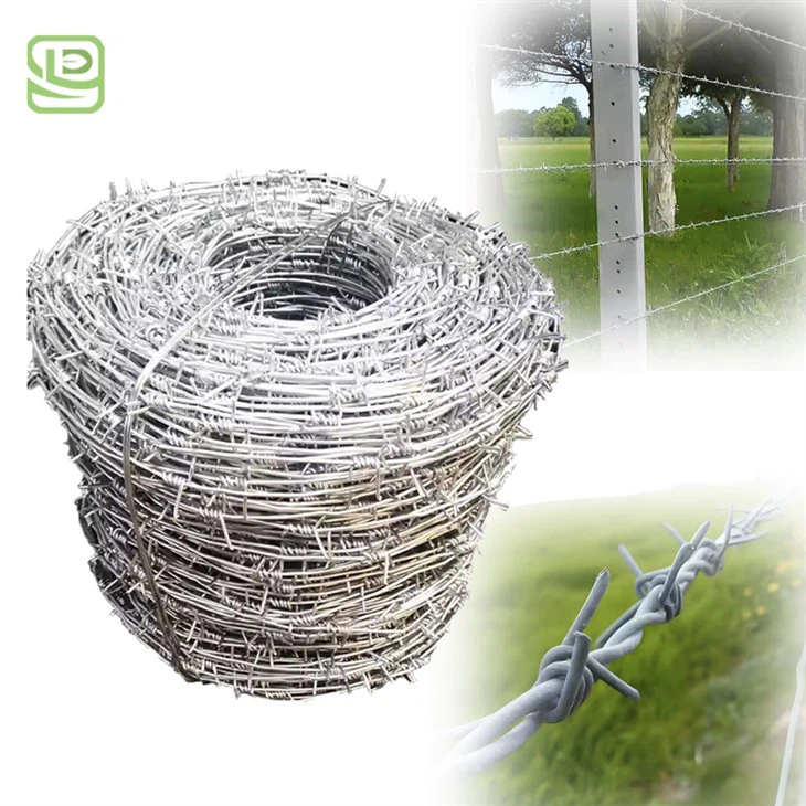 Coiled Barbed Wire